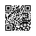 44711-315-009 Tire, fr. (2.75-18)