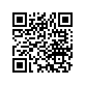 44711-430-703 Tire (3.00-21) (4pr)