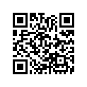44711-435-013 Tire, Fr. (3.00-23)