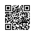 44711-446-631 Tire, Fr. (2.75-21)