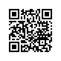 44711-GEZ-671 TIRE(KENDA)