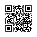 44711-KCZ-003 Tire (3.00-21) (51p)