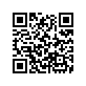 44711-KS4-711 TIRE,FR.(BS)