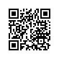 44713300003 FLAP,X-19