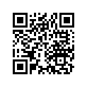 44714-958-000 Patch, Rim Support