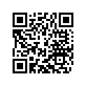 45031041000 Rubber