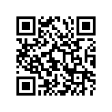 45100-04610-48H 