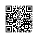 4510304013390A FOOTPEG L.+R. CPL. MINI 03
