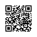 45105-961-006 Pad