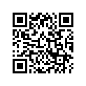 45106-KS6-702 Pad B