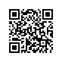 45131007045 IDLING JET 45 DELLORTO