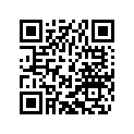 45131534008 JET NEEDLE A8