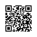 45132-273-300 Pin, fr. shoe