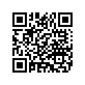 4513905B KITBRAKELINEASY,FRTSF