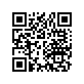 45141-202-000 Шайба подшипник