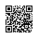 45210071111 SPOKE 3X111 C.166°