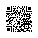 45445021000 Stop disc