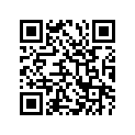 45511-49300-13Y 