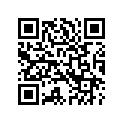 45600001 FORKLOCKIGNPWRLOCKS(