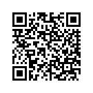 45964-11CRP FORK SLIDER COVER (BLACK DIAMOND)