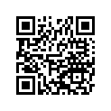 460030060458 Handle, P.silver