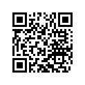 46032011044 LINING DISK