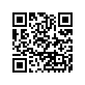 460751095R1 
