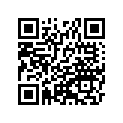 460751104SM 