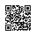 460751138E1 