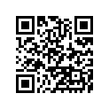 460751138T8 
