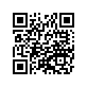 460751138VG 