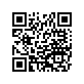 46091019 