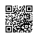 460911033 