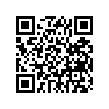461-28171-00-00 