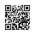 461021382 