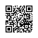 4611-419 DECAL, NOSE 