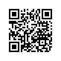 4611-966 DECAL,TUNNEL-