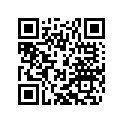 46129099000 BORDTOOL 65SX             2008