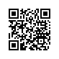 46180519 Lock Ring D=55