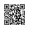 462-21110-01-33 FRAME