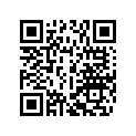 4620805400004B SPOILERSET  65 SX 2013