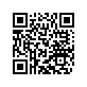 46210071129 SPOKE 3X129 C. 161°