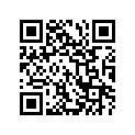 46211-31E00-22U HANDLE,PILLION RIDER