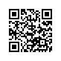 46300-00E00-000 