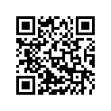4630805400028B Spoilerset 65SX