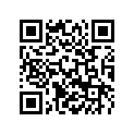 46308099100 DECAL SET 65 SX           2017