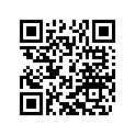 46308099500 Graphics kit 65 SX 2021