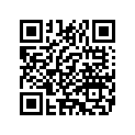 4647400C FORKSLIDERRHCHRM