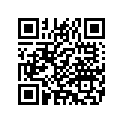 46478-00 SLIDER L.H.
