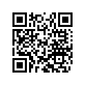 46810506 SHIM 12X38X0,25